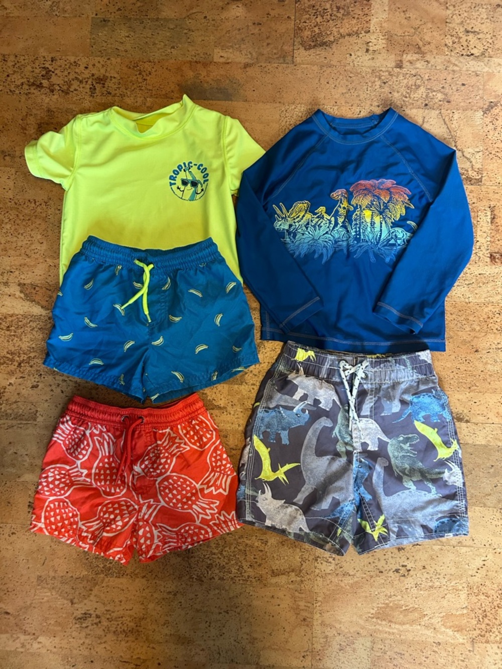 Gap & Carters 2T Swim Bundle – 6 Pieces
